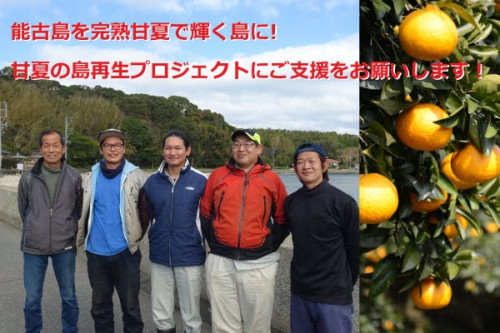 能古島を完熟甘夏で輝く島に! 甘夏の島再生プロジェクトにご支援をお願いします！