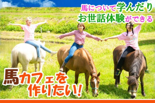 広島の安芸高田に馬について学んだりお世話体験もできる体験型馬カフェを作りたい！