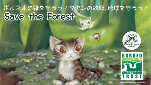 【わちふぃーるど】ボルネオの森を守りたい！『ダヤンの森４』プロジェクト