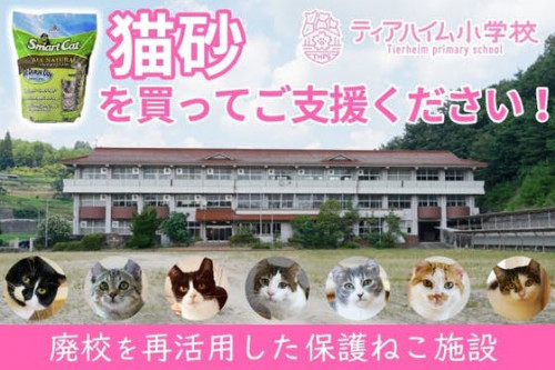 猫砂の購入で保護猫施設をご支援ください