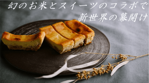 幻のお米とスイーツが奇跡のコラボ！「糠チーズケーキ」makuake限定先行発売