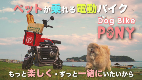 愛犬と一緒にお出かけ！買物も楽々の可愛い電動バイク｜Dog Bike PONY