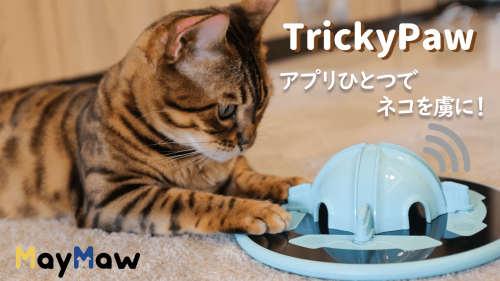 アプリひとつでネコを虜に！最新デジタルおもちゃ「TrickyPaw」