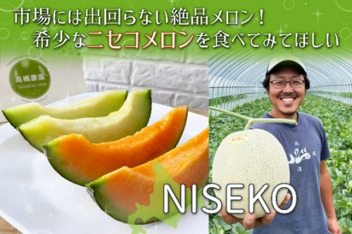【北海道】市場には出回らない絶品メロン！希少なニセコメロンを食べてみてほしい