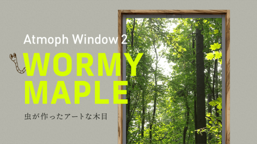 スマート窓「Atmoph Window 2」新フレーム登場！世界の風景をお部屋に