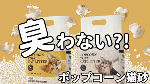 猫トイレがいい香りに？！香水会社と共同開発の『ポップコーン猫砂』が日本初上陸！