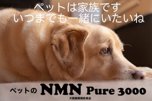 ペットの健康維持によるエイジングケアをサポートする 今話題のNMNサプリメント
