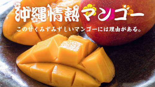 マンゴー本来の甘さをぎゅーーーと凝縮した新ブランド「沖縄情熱マンゴー」のご紹介！
