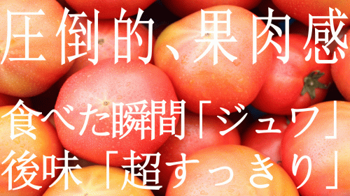 【まるでフルーツ】やみつきジュワっと食感！食べた瞬間旨味が溢れる「神トマト」