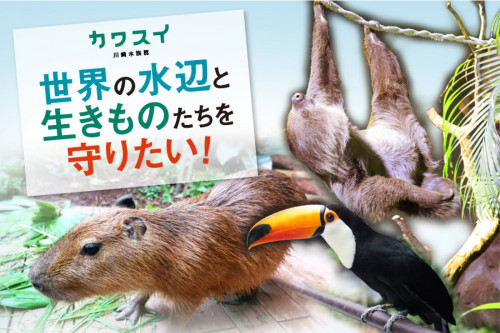 【カワスイ 川崎水族館】世界の水辺と生きものたちを守りたい！