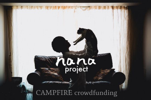 猫のななちゃんの為に作るCDプロジェクト「nana」