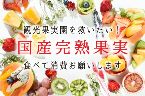 国産冷凍果物で果樹園を応援したい！完熟果物を美味しく食べて応援消費お願いします！