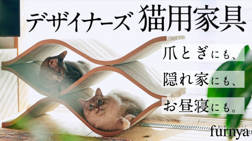 猫の"大好き"をぜんぶ１つに！獣医×建築家×東大発ベンチャーのデザイナーズ猫家具