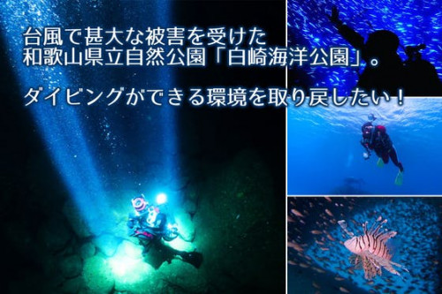 台風被害に合った和歌山県由良町の白崎海洋公園でのダイビングを復活させたい！