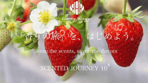 兵庫県各地の馴染み深い産物を使って、想い出の「香りの旅」を、つくりたい！
