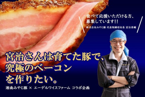 【食べて応援】宮治さんは育てた豚で、究極のベーコンを作りたい。