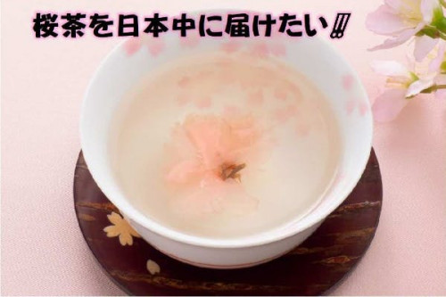 桜農家が大ピンチ⁉コロナ禍で行き場を失った桜茶を日本中に届けたい！