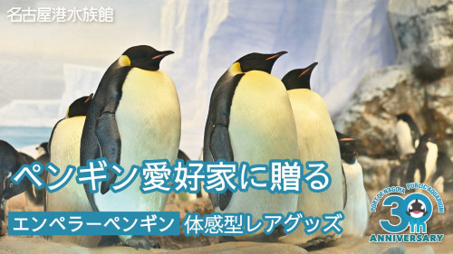 名古屋港水族館30周年記念！ペンギン好きに贈る、超希少エンペラーペンギングッズ