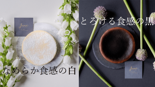 白砂糖不使用で上品な甘さ。北海道生まれのシェフが作る、王道を求めたチーズケーキ