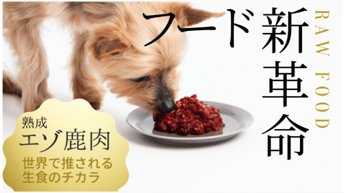 愛犬愛猫の栄養価を上げる次世代スーパーフード【北海道熟成エゾ鹿肉】