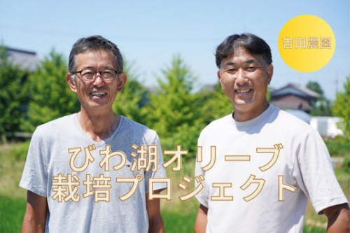 滋賀・吉田農園　水草でつくる無農薬『びわ湖オリーブ』栽培プロジェクト！