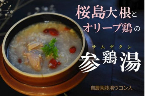 【鹿児島発】王国の鶏×桜島大根！滋養豊かな参鶏湯をお届けします！