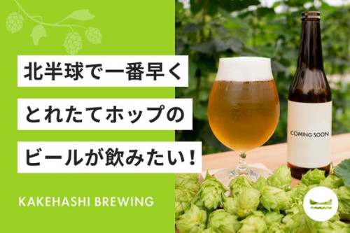 北半球で一番早くとれたてホップのビールが飲みたい！京都与謝野かけはしブルーイング