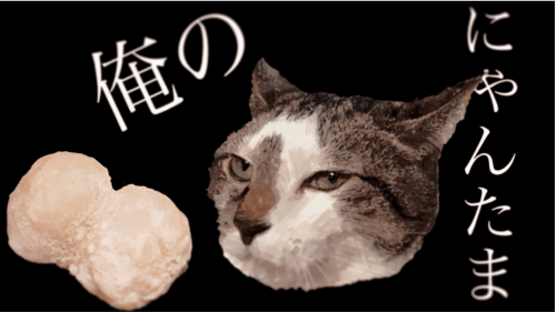 【新感覚大福】俺のにゃんたま 〜4種の猫で4つの味〜