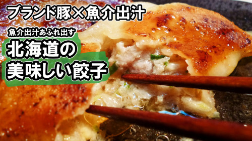 【北海道の本当に美味しい餃子】添加物不使用の魚介出汁香る餃子新発売！