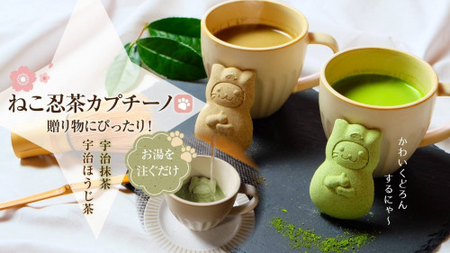 【緑茶発祥の地からお届け】お湯を注ぐとドロン！！可愛すぎるねこ忍茶カプチーノ