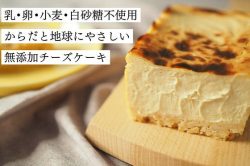 身体と地球にやさしい新たな選択肢『チーズ不使用濃厚チーズケーキ』先行予約販売！！