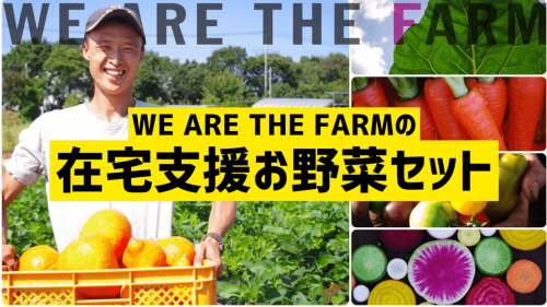 WE ARE THE FARMの在宅支援お野菜セット