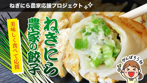 栃木県の希少野菜「ねぎにら」農家を救え！『ねぎにら農家の餃子』を餃子専門店と開発