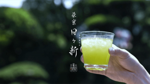 茶葉から淹れた水出し緑茶のおいしさを日本中に伝えたい