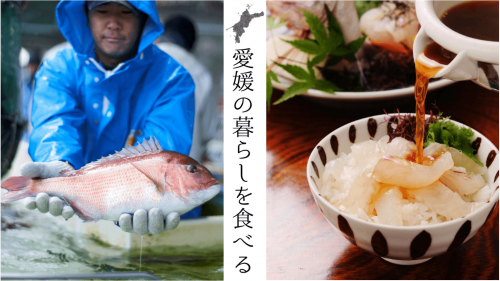 【産地直送】愛媛の郷土料理をご自宅で！楽チンでおいしいお魚惣菜セット