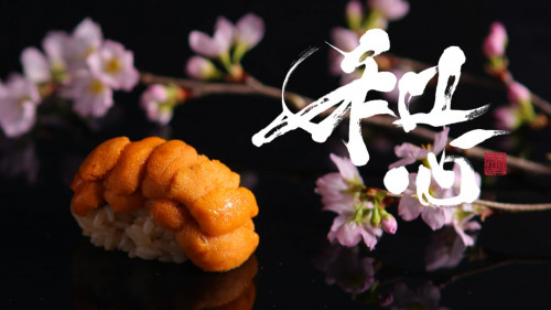 【会員制】匠の技術で織りなす、旨みを限界まで引き出す 熟成寿司 和心