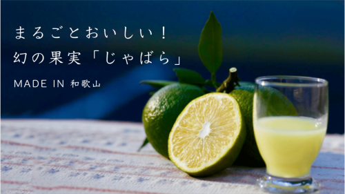 まろやかな風味が特徴！柑橘好き必見の幻の果実「じゃばら」をいち早くお届け｜和歌山