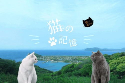 糸島発 映画「猫の記憶」製作支援プロジェクト