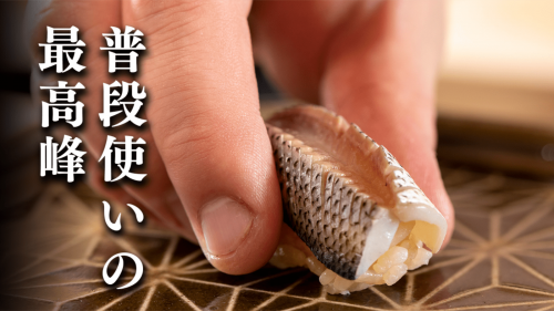 驚愕の江戸前鮨店が赤坂に誕生。産直船上仕込みの極上鮨を破格で楽しめる会員募集