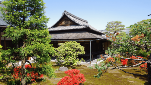 京都 聖護院　皇室より授かった文化財建造物を、台風被害から復旧するサポーター募集