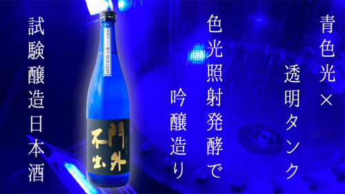 青色LED光で吟醸造り。「透明タンク＜色光照射発酵＞日本酒」の試験醸造