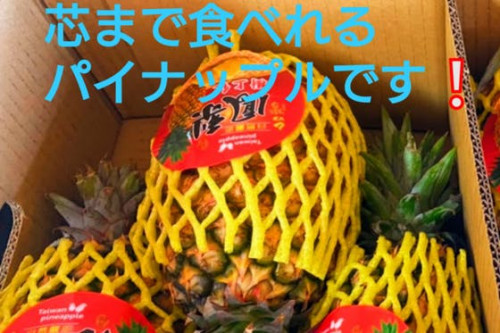 台湾パイナップルが5トン分入って来ます。