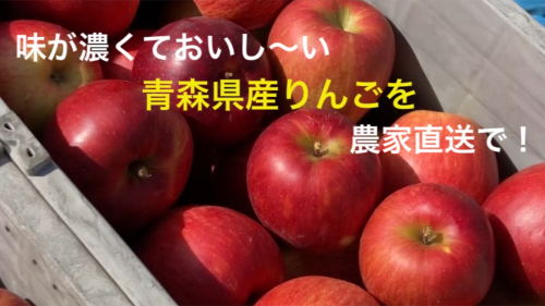【味が濃くておいしい】農家直送！青森県黒石市で育った美味しい採れたてりんご