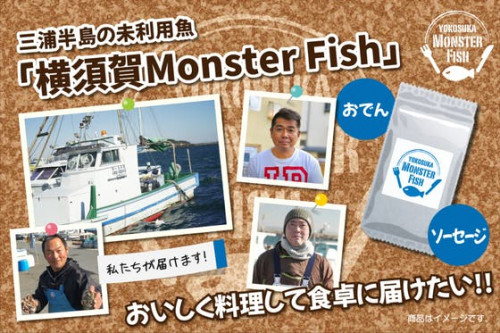 三浦半島でおいしくSDGs「モンスター未利用魚、採れすぎ野菜」を産地から食卓へ！