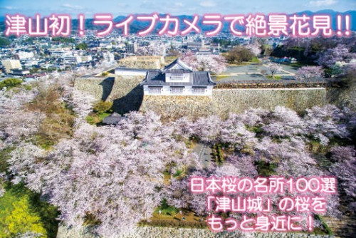 津山初！ライブカメラで絶景花見　～日本桜の名所100選「津山城」をもっと身近に～