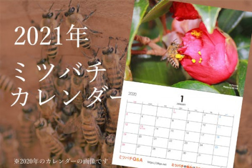 ミツバチを守り養蜂を活性化したい！ミツバチカレンダーを製作し原価で配布します