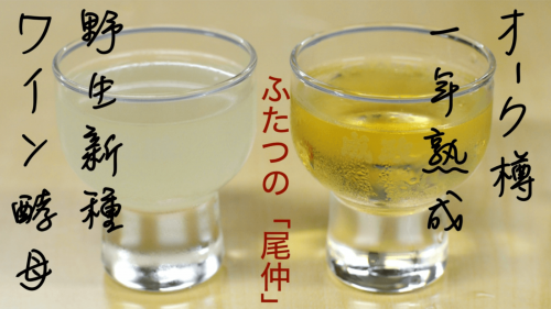 野生種ワイン酵母で醸す日本酒「尾仲」〜八年目の新たなる挑戦〜