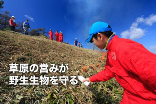 【書籍】『未来に残したい日本の草原』を発行して、全国の貴重な草原を守りたい！