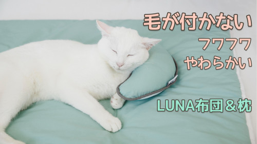 【高級ホテルのベッドから誕生した】犬や猫のための毛が付かない“LUNA”布団＆枕