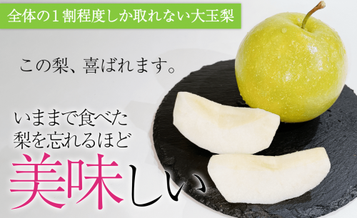 【特別なフルーツギフト】伝統の梨と鳥取県でしか作られていない話題の梨をお届け！